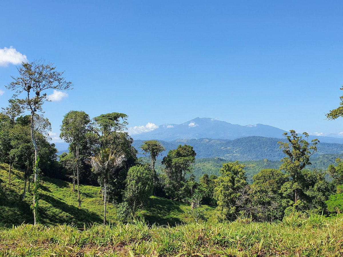 Jungle and mountains in Costa Rica